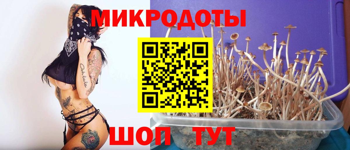 Узловая  Галлюциногенные грибы Cubensis  Псилоцибиновые грибы Psilocybine cubensis  магазин продажи наркотиков  Вход с VPN 